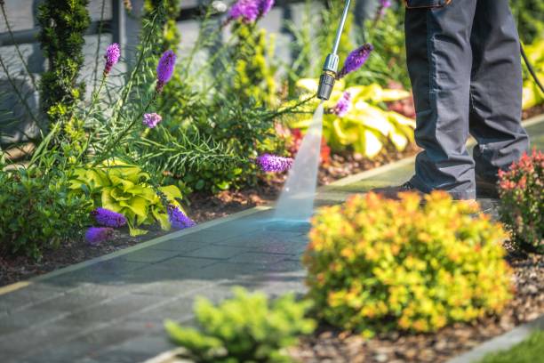 Best Pre-Holiday Cleaning  in Ladue, MO