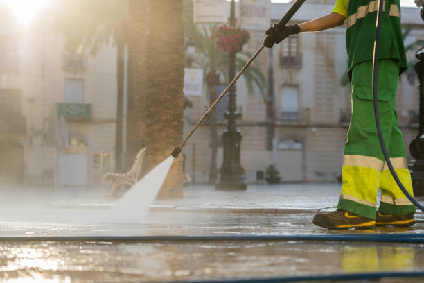 Best Dumpster Area Cleaning  in Ladue, MO